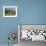 Hilltop, Sawrey, Near Ambleside, Home of Beatrix Potter, Lake District Nat'l Park, Cumbria, England-James Emmerson-Framed Photographic Print displayed on a wall