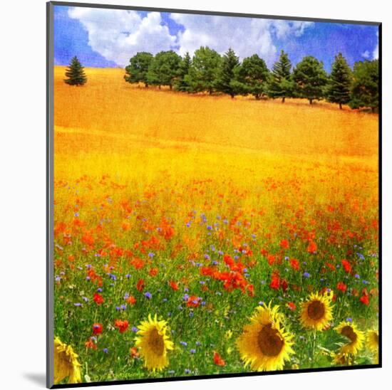 Hilltop Trees with Poppies II-Chris Vest-Mounted Art Print