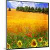 Hilltop Trees with Poppies II-Chris Vest-Mounted Art Print