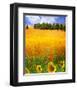 Hilltop Trees with Poppies III-Chris Vest-Framed Art Print