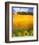 Hilltop Trees with Poppies III-Chris Vest-Framed Art Print