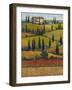 Hilltop Villa II-Tim O'toole-Framed Art Print