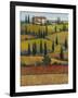 Hilltop Villa II-Tim O'toole-Framed Art Print