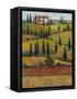 Hilltop Villa II-Tim O'toole-Framed Stretched Canvas