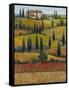 Hilltop Villa II-Tim O'toole-Framed Stretched Canvas