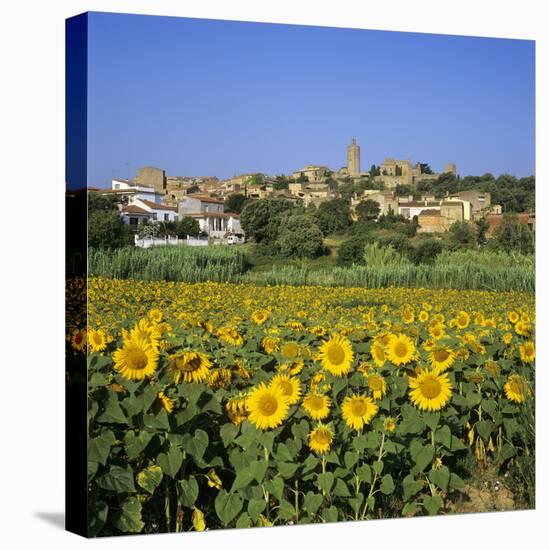 Hilltop Village Above Sunflower Field, Pals, Catalunya (Costa Brava), Spain-Stuart Black-Stretched Canvas