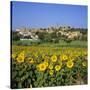 Hilltop Village Above Sunflower Field, Pals, Catalunya (Costa Brava), Spain-Stuart Black-Stretched Canvas