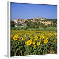 Hilltop Village Above Sunflower Field, Pals, Catalunya (Costa Brava), Spain-Stuart Black-Framed Photographic Print