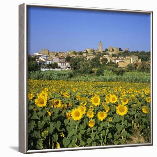 Hilltop Village Above Sunflower Field, Pals, Catalunya (Costa Brava), Spain-Stuart Black-Framed Photographic Print