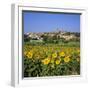 Hilltop Village Above Sunflower Field, Pals, Catalunya (Costa Brava), Spain-Stuart Black-Framed Photographic Print