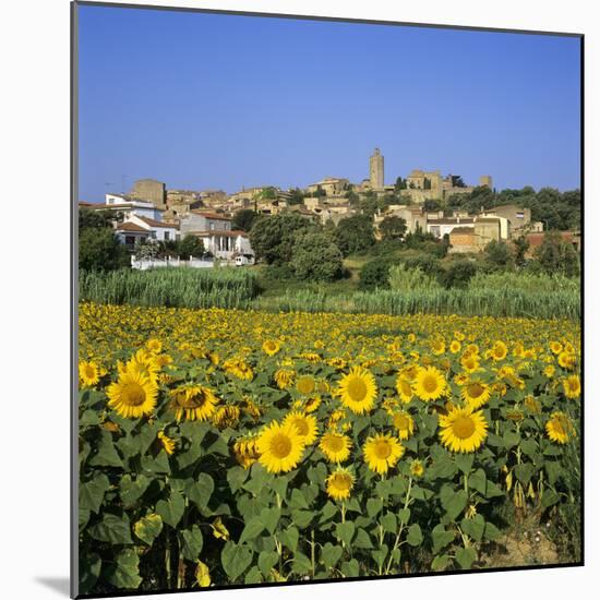 Hilltop Village Above Sunflower Field, Pals, Catalunya (Costa Brava), Spain-Stuart Black-Mounted Photographic Print