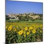 Hilltop Village Above Sunflower Field, Pals, Catalunya (Costa Brava), Spain-Stuart Black-Mounted Photographic Print