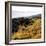 Hilltop Vista-Lance Kuehne-Framed Photographic Print