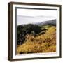 Hilltop Vista-Lance Kuehne-Framed Photographic Print