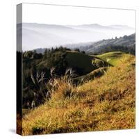 Hilltop Vista-Lance Kuehne-Stretched Canvas