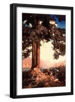 Hilltop-Maxfield Parrish-Framed Art Print