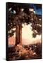 Hilltop-Maxfield Parrish-Framed Stretched Canvas