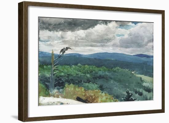 Hilly Landscape, 1894-Winslow Homer-Framed Giclee Print