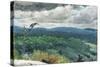 Hilly Landscape, 1894-Winslow Homer-Stretched Canvas