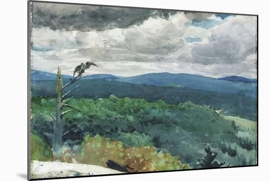 Hilly Landscape, 1894-Winslow Homer-Mounted Giclee Print