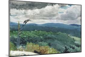 Hilly Landscape, 1894-Winslow Homer-Mounted Giclee Print