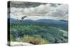 Hilly Landscape, 1894-Winslow Homer-Stretched Canvas
