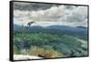 Hilly Landscape, 1894-Winslow Homer-Framed Stretched Canvas