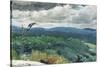 Hilly Landscape, 1894-Winslow Homer-Stretched Canvas