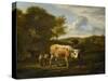 Hilly Landscape with Cows-Adriaen van de Velde-Stretched Canvas