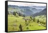 Hilly Rural Landscape of the Bukovina Region at Sadova, Romania, Europe-Matthew Williams-Ellis-Framed Stretched Canvas