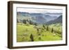 Hilly Rural Landscape of the Bukovina Region at Sadova, Romania, Europe-Matthew Williams-Ellis-Framed Photographic Print