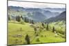 Hilly Rural Landscape of the Bukovina Region at Sadova, Romania, Europe-Matthew Williams-Ellis-Mounted Photographic Print