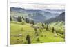 Hilly Rural Landscape of the Bukovina Region at Sadova, Romania, Europe-Matthew Williams-Ellis-Framed Photographic Print