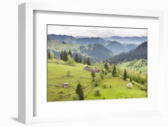 Hilly Rural Landscape of the Bukovina Region at Sadova, Romania, Europe-Matthew Williams-Ellis-Framed Photographic Print