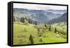 Hilly Rural Landscape of the Bukovina Region at Sadova, Romania, Europe-Matthew Williams-Ellis-Framed Stretched Canvas