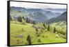 Hilly Rural Landscape of the Bukovina Region at Sadova, Romania, Europe-Matthew Williams-Ellis-Framed Stretched Canvas