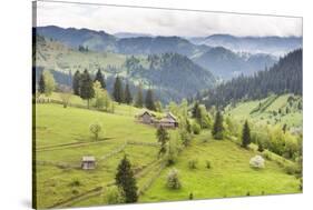 Hilly Rural Landscape of the Bukovina Region at Sadova, Romania, Europe-Matthew Williams-Ellis-Stretched Canvas