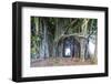 Hilo, Big Island, Hawaii, USA-Christian Kober-Framed Photographic Print