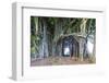 Hilo, Big Island, Hawaii, USA-Christian Kober-Framed Photographic Print