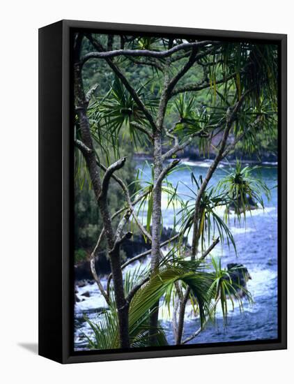 Hilo, Big Island, Hawaii-Jerry Ginsberg-Framed Stretched Canvas