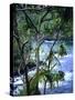 Hilo, Big Island, Hawaii-Jerry Ginsberg-Stretched Canvas