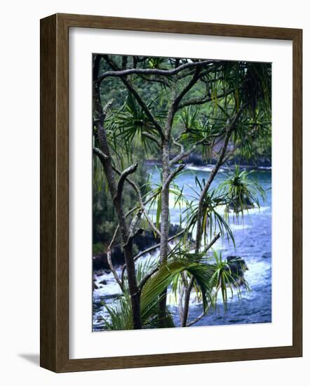 Hilo, Big Island, Hawaii-Jerry Ginsberg-Framed Photographic Print