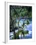 Hilo, Big Island, Hawaii-Jerry Ginsberg-Framed Photographic Print