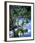 Hilo, Big Island, Hawaii-Jerry Ginsberg-Framed Photographic Print