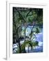 Hilo, Big Island, Hawaii-Jerry Ginsberg-Framed Photographic Print