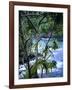 Hilo, Big Island, Hawaii-Jerry Ginsberg-Framed Photographic Print