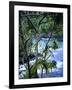 Hilo, Big Island, Hawaii-Jerry Ginsberg-Framed Photographic Print