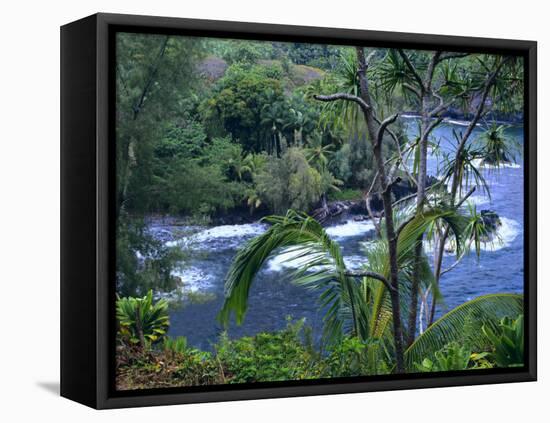 Hilo, Big Island, Hawaii-Jerry Ginsberg-Framed Stretched Canvas