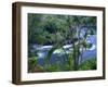 Hilo, Big Island, Hawaii-Jerry Ginsberg-Framed Photographic Print