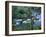 Hilo, Big Island, Hawaii-Jerry Ginsberg-Framed Photographic Print